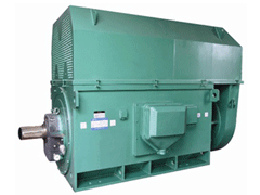 YKS5008-12/355KWY系列6KV高压电机